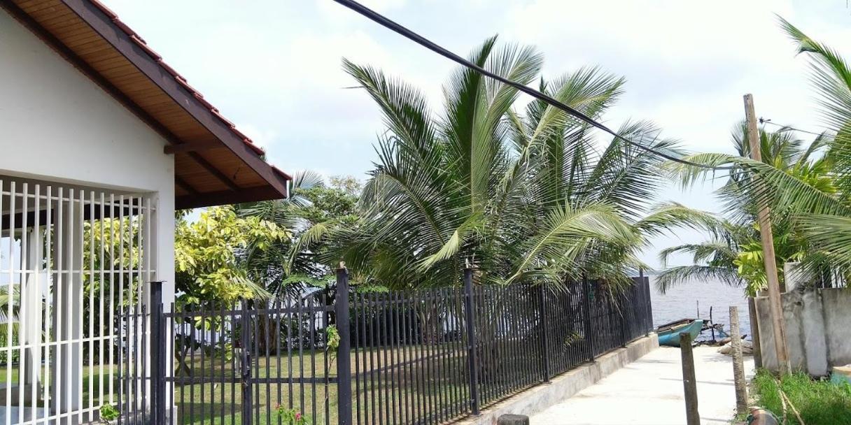 Negombo Holiday Home Exteriör bild